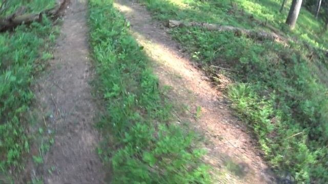 Монеты, кольцо и другие находки на старой лесной дороге.