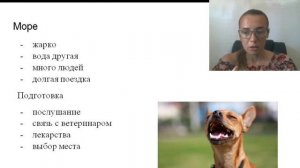 Путешествие с собакой. Как подготовить собаку для дачи или похода