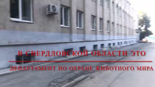 ОХОТЛИКБЕЗ. Получение охотбилета.