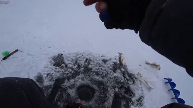 Первый лёд 2022! Поставил эту БЛЕСНУ и сразу наловил судаков! смотреть онлайн