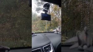 Как скрыть провода регистратора Hyundai solaris