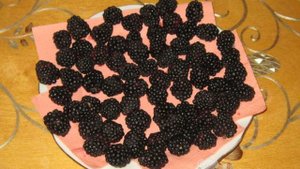 Заморозка ежевики на зиму