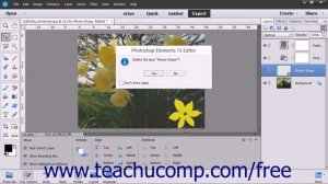 Photoshop Elements 13 Tutorial Common Layer Management Tasks Adobe Training