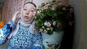 ПОРОДА . ПЕРВОМАЙСКАЯ И ПОЛТАВСКАЯ ГЛИНИСТАЯ
