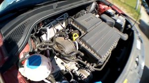 SKODA RAPID/2015. 5000 КМ ПОСЛЕ ТО-1. СМОТРИМ РАСХОД МАСЛА.