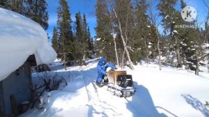 В тайгу после метели на мотособаке и снегоходе ирбис 150