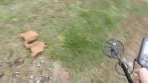 Нокта Макро Симплекс Плюс и Ванквишь 440 настройка приборов и определение целей