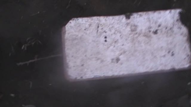 Углубление и укрытие инжира в зиму смотреть онлайн