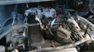 Крыса свила гнездо под капотом автомобиля над двигателем