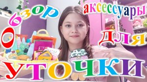 Обзор аксессуаров для уточки.