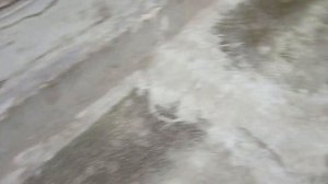 Обзор отмостки через 6 лет.mp4