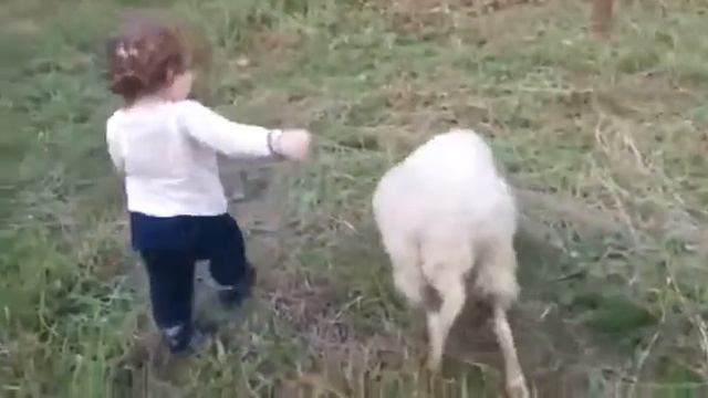 Как играет барашка с ребенком это разве не прелесть смотреть онлайн