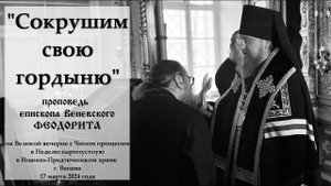 "Сокрушим свою гордыню". Епископ Венёвский Феодорит.
