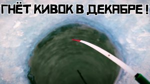 ТРУДОВОЙ ПОИСК УДАЛСЯ! Клюёт на мормышку СРАЗУ! СЛОЖНАЯ рыбалка в декабре!