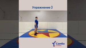 9 класс 2 упражнение - Самостраховка на руки прыжком
