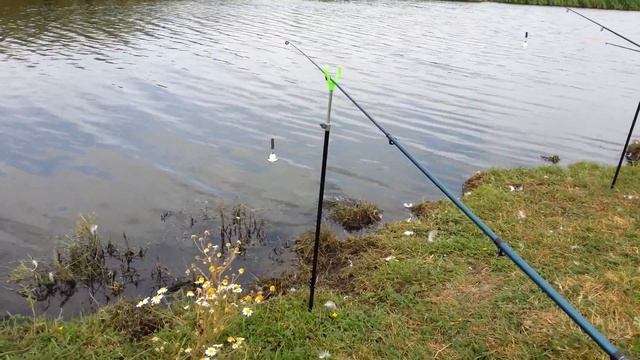 Ловим с Викой в деревне рыбу на пробку и поплавок смотреть онлайн