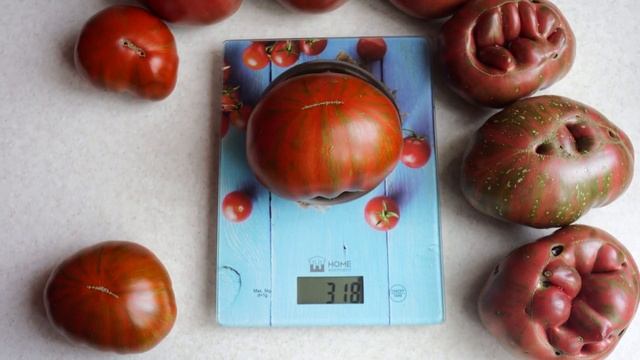 Вкусный тёмный полосатик! Томат Бандельер
