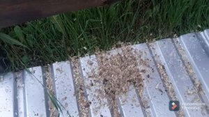 Замена тэна в горизонтальном баке. Garanterm не греет.