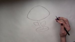 How to Draw Sunflower from Plants vs Zombies