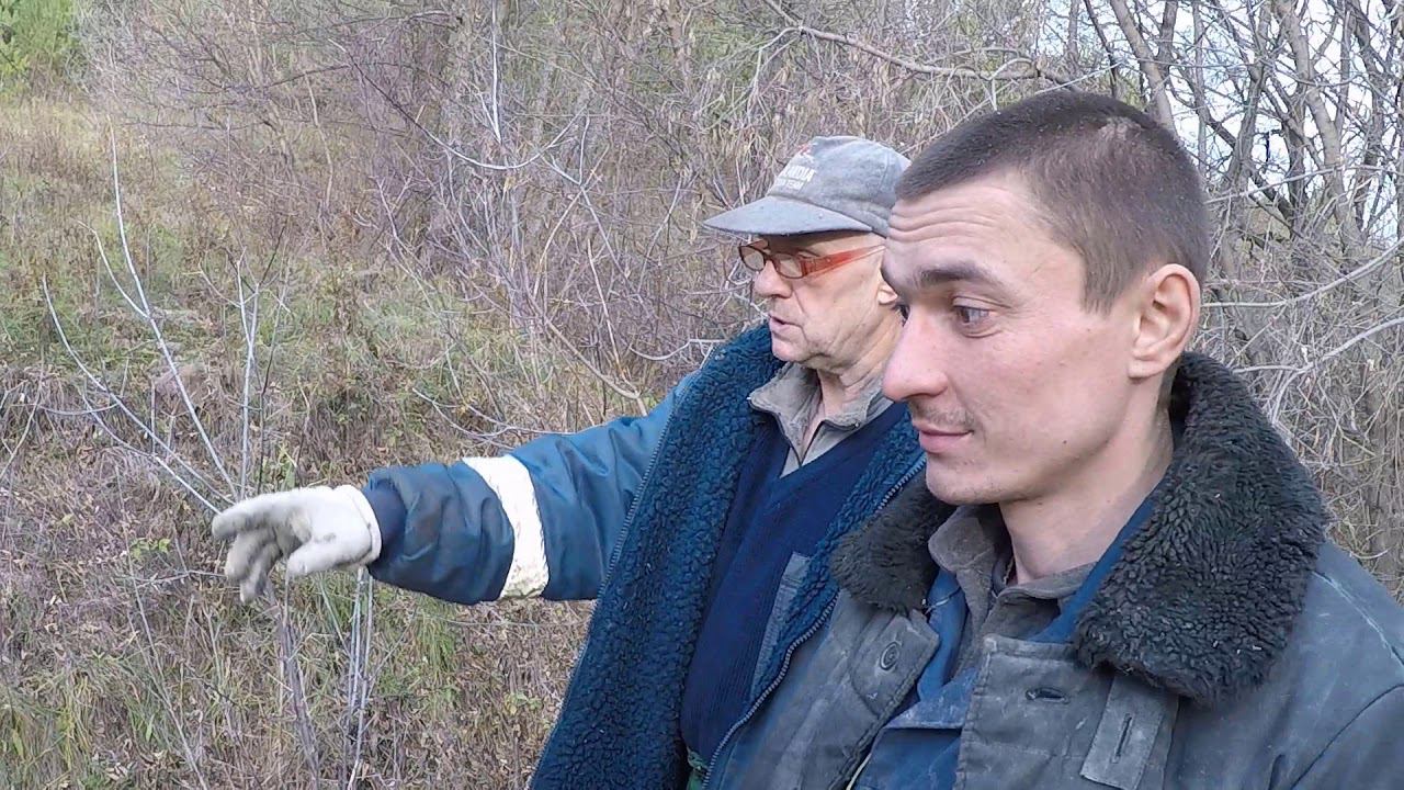 Самая ЧИСТАЯ река,Продолжаем РАБОТАТЬ►2 смотреть онлайн