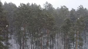 Стихи Евгения Уран  Снежинка на окне   (исп  под гитару С Дуткевич)