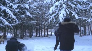 "Новогодние снежинки" сл. Н.Осошник, муз.В.Осошник в исполнении  солистов ансамбля "Чоргуй"