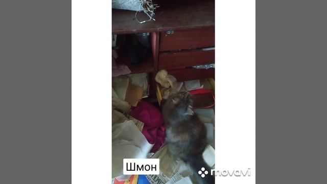 деловая