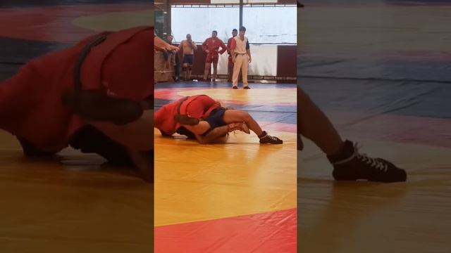 Самбо смотреть онлайн