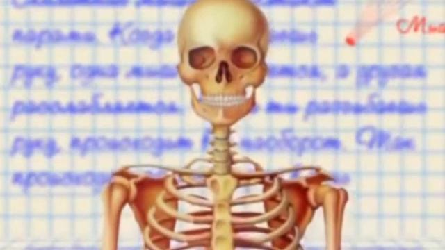 Встреча со скелетом Гошей смотреть онлайн