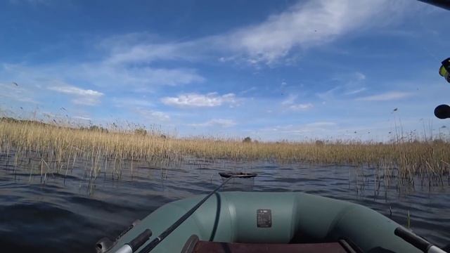 ПОД ЭТИМ ТРОСТНИКОМ МОРЕ РЫБЫ!  ПОКЛЕВКА ЗА ПОКЛЕВКОЙ Рыбалка на линя. Ловля линя на поплавок.