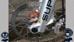 Подсолнух - Стритец. История гибели.