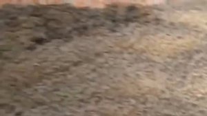 Пеллеты своими руками