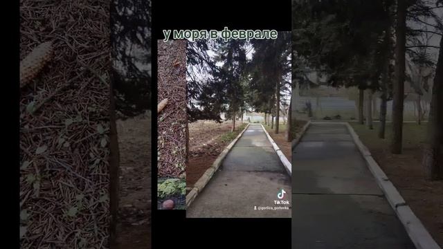 у моря