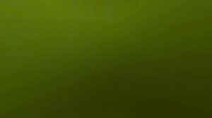 Ныряем в удовольствие