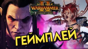 Малус Тёмный Клинок - геймплей Тёмных Эльфов в Total War WARHAMMER 2 - The Shadow & The Blade