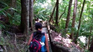 Водопад МагАсо Бохоль - отлично съездили - Жизнь на Филиппинах