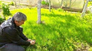 Садовый лазерный проектор Eshini / Garden Laser Projector Eshini