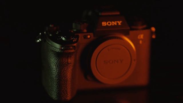 Introducing Sony Alpha 1 | Sunny Dhanjal Photography & Films