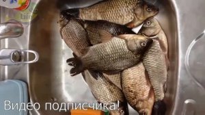 Секреты ловли карася в августе от рыбака с 50 летним стажем! Карась в августе советы и хитрости!