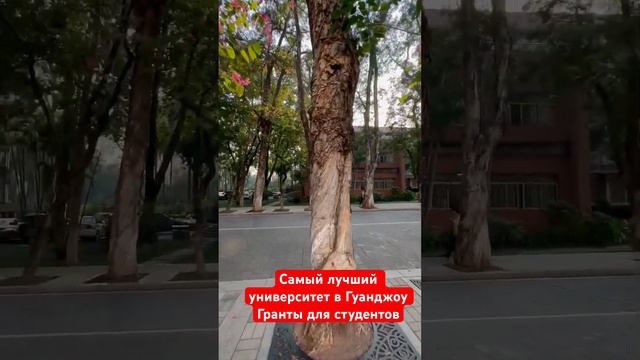 Самый лучший вуз в Гуанджоу #китай #китайский #учебавкитае #грантывкитае #гранты #тревелвлог