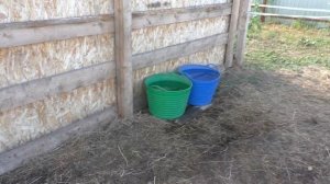 Содержание лошадей в небольшом частном хозяйстве