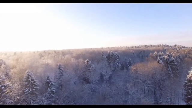 Квадрокоптер - Полёт над лесом смотреть онлайн