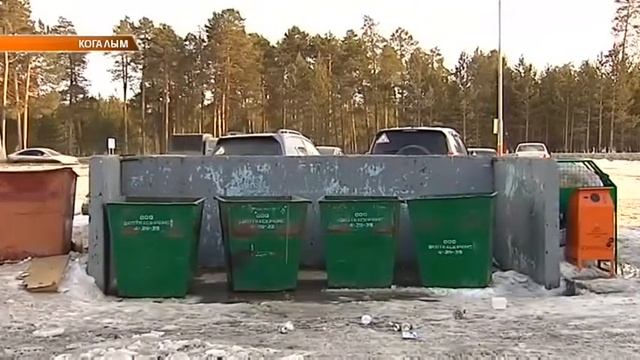 Крупногабаритный мусор