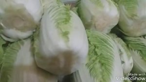 Как я солю пекинскую капусту часть 1