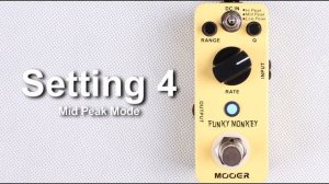 Mooer Funky Monkey Auto Wah Micro Pedal