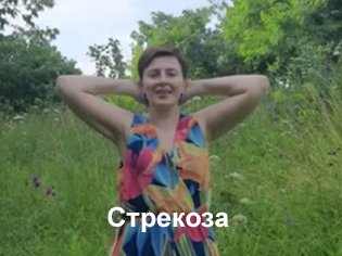 Стрекоза