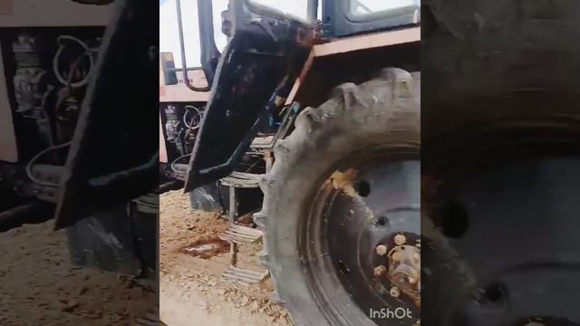 Посадка горбуза 2023. (український багатоплідний) смотреть онлайн