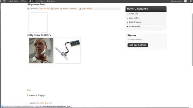 CNB Tutorial: NextGen Photogallery for Wordpress