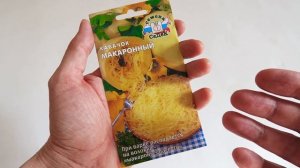 Удиви меня: КАБАЧОК МАКАРОННЫЙ! ? При варке распадается на волокна - макароны-спагетти!!!!