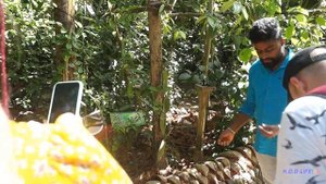 ШРИ-ЛАНКА/ЦЕНЫ/ПРОДУКТЫ/САД СПЕЦИЙ/УНАВАТУНА/МИРИССА/SRI-LANKA/ШРИ ЛАНКА 2023/ПЛЯЖИ ШРИ ЛАНКИ